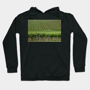 Vineyards 4 Hoodie